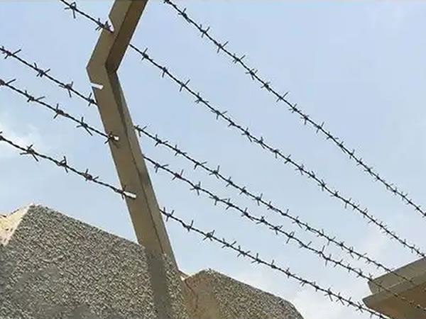 Barbed wire