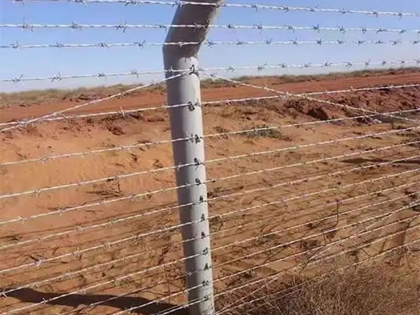 Barbed wire