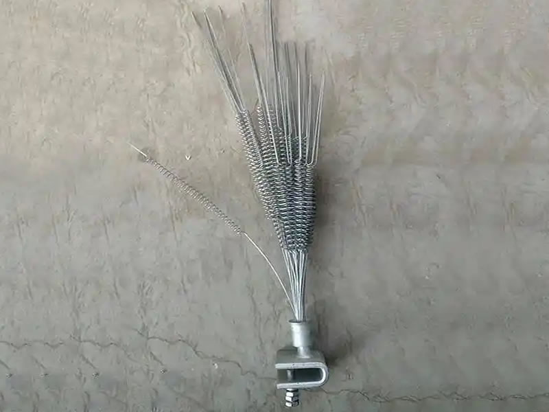 Bird Thorn