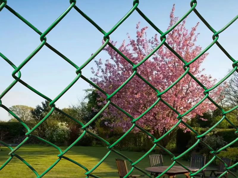 Chain Link Fence