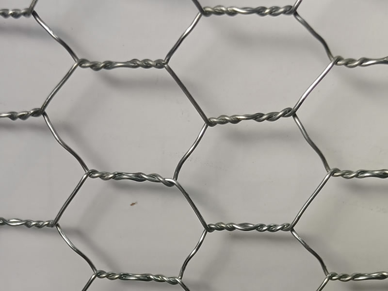 Hexagonal Mesh